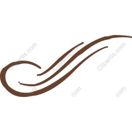 Elegant Swirl