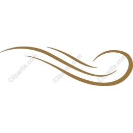 Elegant Flowing Lines