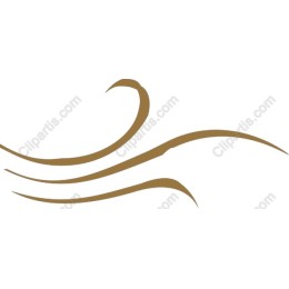 Elegant Gold Wave