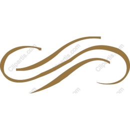 Elegant Flowing Lines