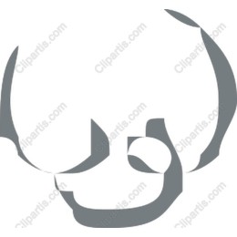 Stylish Minimalist