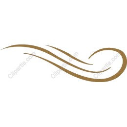 Elegant Decorative Swirl