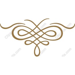 Elegant Ornamental Swirl