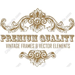 Premium Quality Vintage Frames & Elements