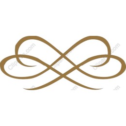 Elegant Infinity Symbol