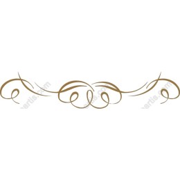 Elegant Ornate Swirl Border