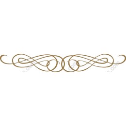 Elegant Decorative Flourish
