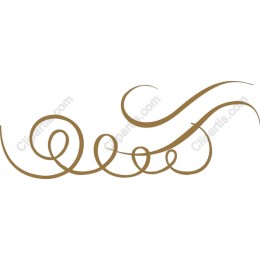 Elegant Decorative Swirl
