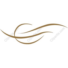 Elegant Flowing Lines