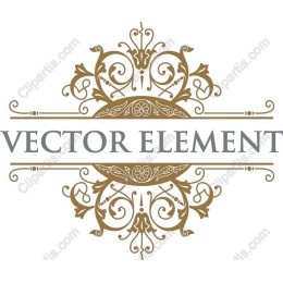 Elegant Decorative Element