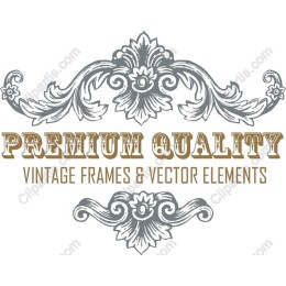 Premium Quality Vintage Frames & Elements