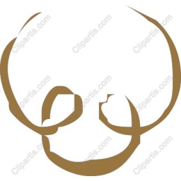 Minimalist Skull