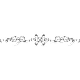 Elegant Ribbon and Bow