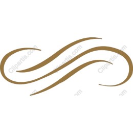 Elegant Golden Swirl Ornament