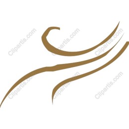 Elegant Fluid Motion