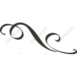 Elegant Decorative Swirl