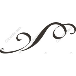 Ornate Decorative Flourish