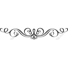 Elegant Ornamental Border in Black