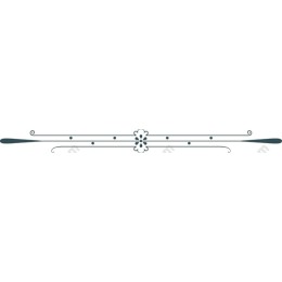 Elegant Decorative Border