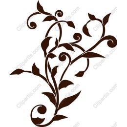 Elegant Floral Vine
