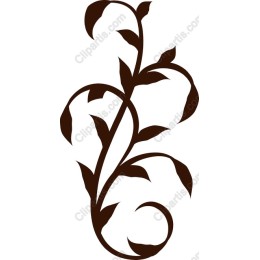 Elegant Vine