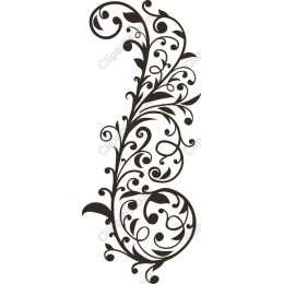 Elegant Floral Vine