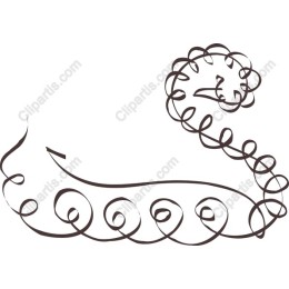 Elegant Minimalist Lion