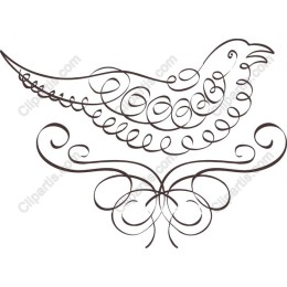 Elegant Ornate Bird