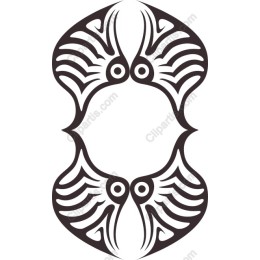 Symmetrical Squid