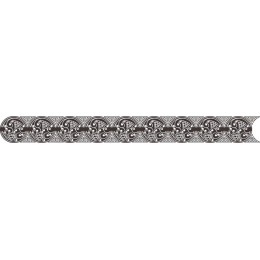 Elegant Ornamental Border in Black and White