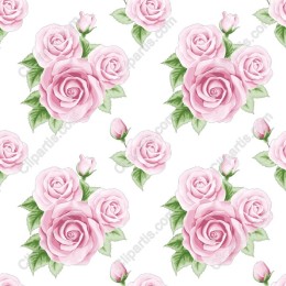 Blush Rose Pattern