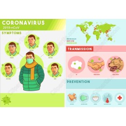 COVID-19 Awareness Infographic
