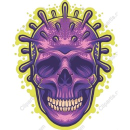 Vivid Skull