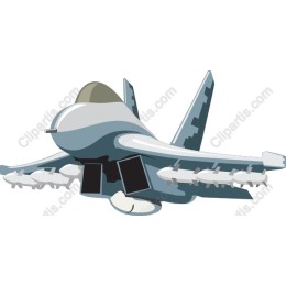 Sleek Military Jet