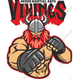 Vikings Mixed Martial Arts
