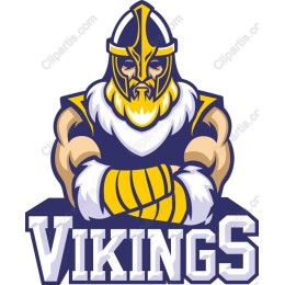 Viking Warrior