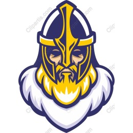 Viking Warrior Helmet