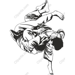 Dynamic Judo Action
