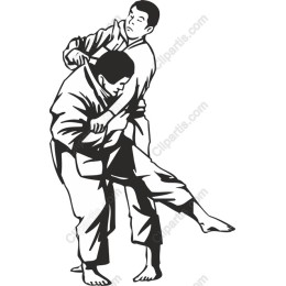 Dynamic Martial Arts Grappling
