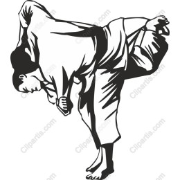Dynamic Martial Artist