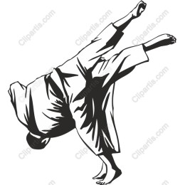 Dynamic Martial Artist