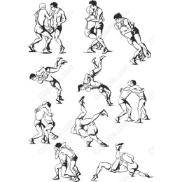 Dynamic Wrestling Bundle