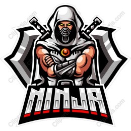 Dynamic Ninja