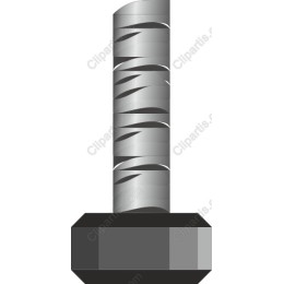 High-Quality Screw Image