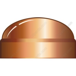 Glossy Brown Dome