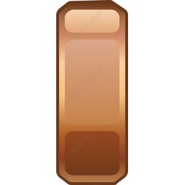 Bronze Frame
