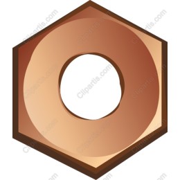 Hex Nut