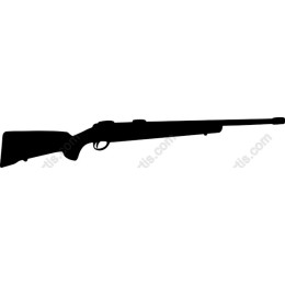 Classic Hunting Rifle