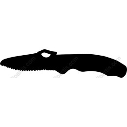 Sleek Serrated Knife