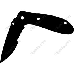 Premium Folding Knife /